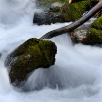 torrent
