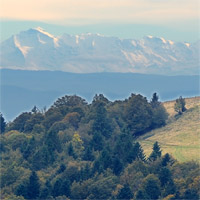 lac