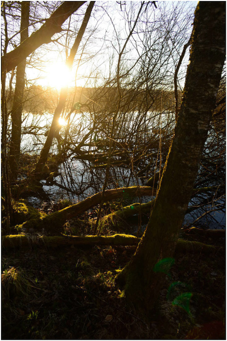 C047-Etang%20Neuf%20(Territoire%20de%20Belfort)