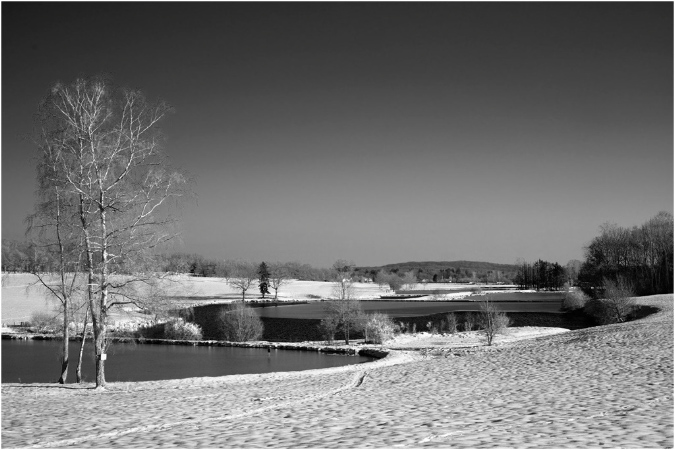 NB006-Etangs%20d'Amont%20et%20d'Avau