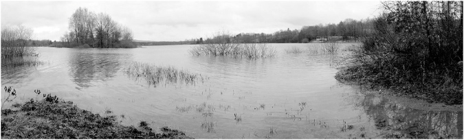 NB029-Bassin%20de%20Champagney%20(Haute%20Saone)