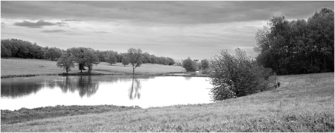 NB030-Etang%20d'Avau(Territoire%20de%20Belfort)