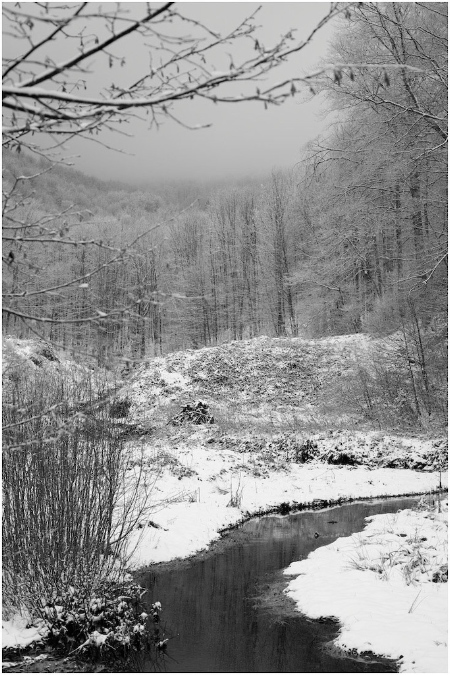 NB038-Etangs%20Boigeol%20Auxelles%20Haut%20(Territoire%20de%20Belfort)