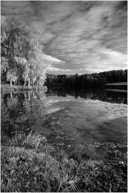 NB046-Etang%20d'Amont%20(Territoire%20de%20Belfort)