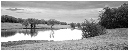 NB030-Etang%20d'Avau(Territoire%20de%20Belfort)