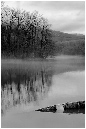 NB034-Etang%20Neuf%20(Territoire%20de%20Belfort)