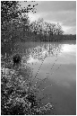NB037-Etang%20Neuf%20(Territoire%20de%20Belfort)