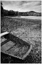 NB041-Etang%20Neuf%20(Territoire%20de%20Belfort)