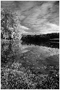 NB046-Etang%20d'Amont%20(Territoire%20de%20Belfort)