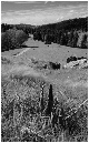 NB050-Ballon%20d'Alsace%20vu%20de%20la%20Gentiane%20(Territoire%20de%20Belfort)