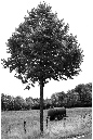 NB051-Sungau%20(Territoire%20de%20Belfort)