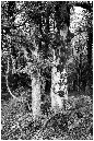 _5